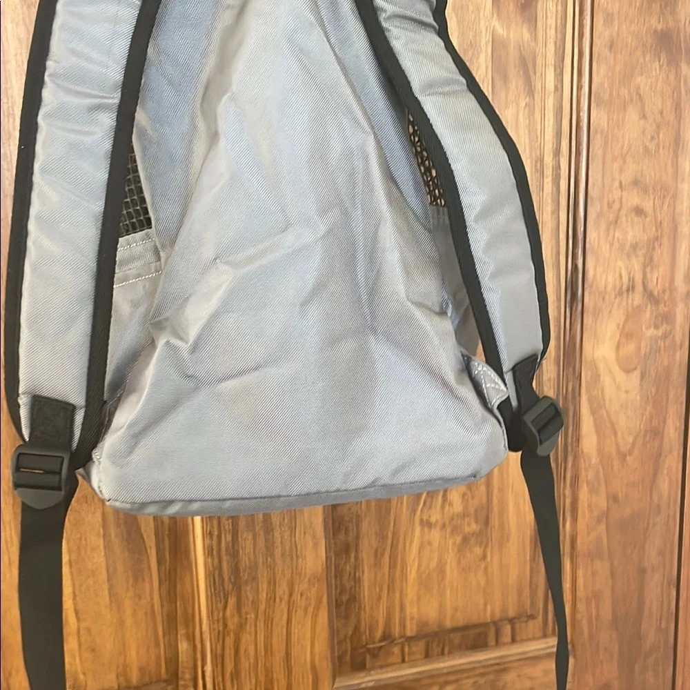 Gray Backpack